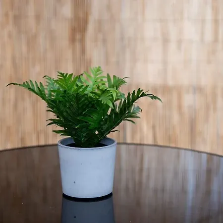 Al Centro 아파트 *